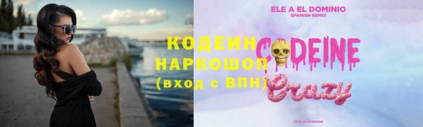 гашик Богданович